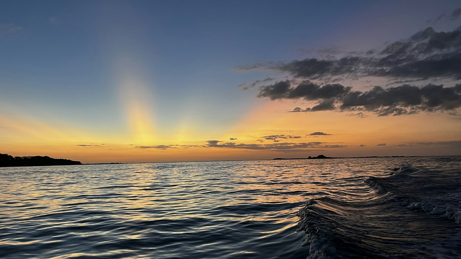 Flamingo going copper. This is why people stay.